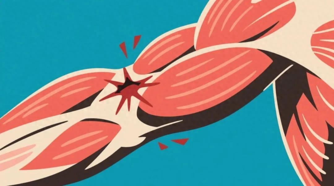 博鱼体育-警惕！小心这些药正在“溶解”你的肌肉